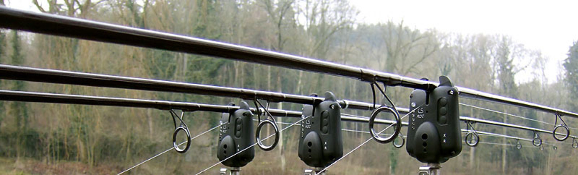 Der richtige Bissanzeigear f&uuml;r dich - Swinger oder Hanger? Antworten & Video!