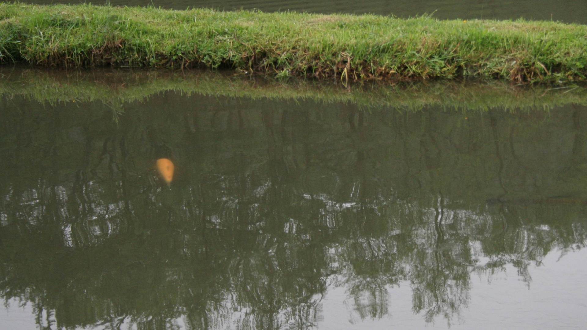  Der See im Frühjahr