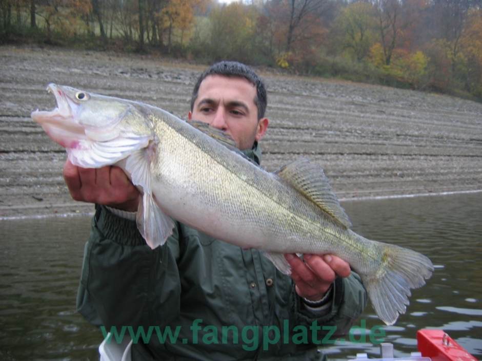  Dicke Zander und Barsche mögen's laut