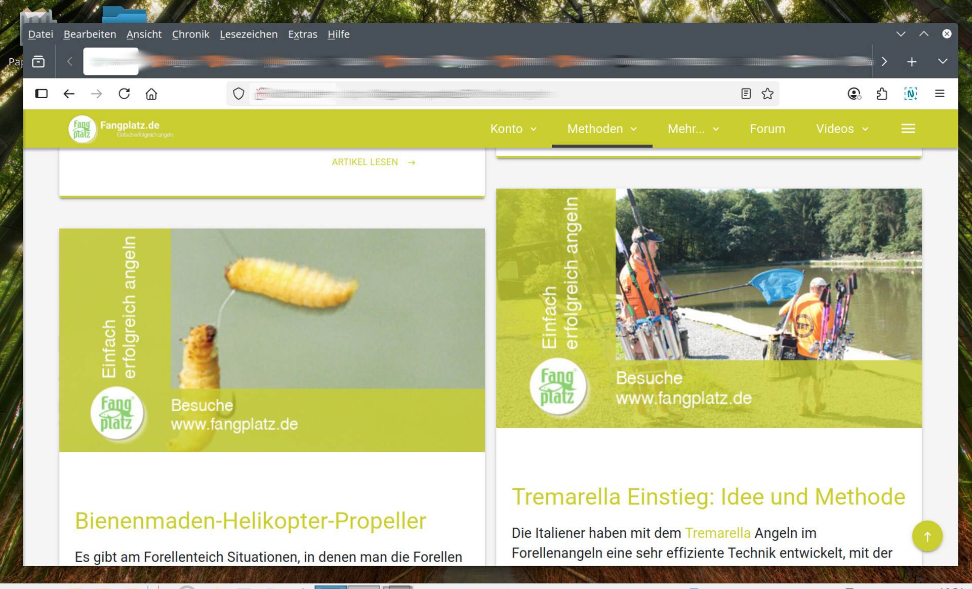  Impressionen vom neuen Fangplatz.de