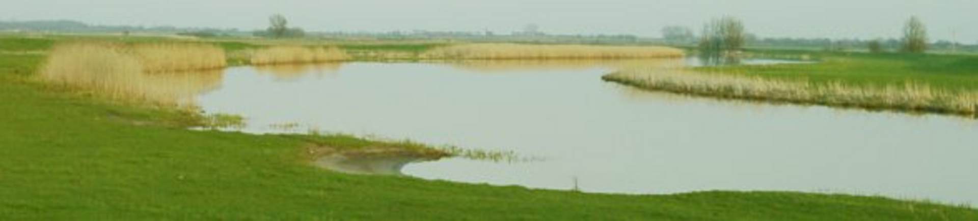 Die Treene: Angeln in Nordfriesland. 