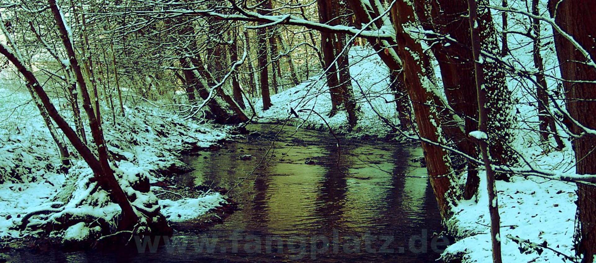 Angeltipps für den Winter 