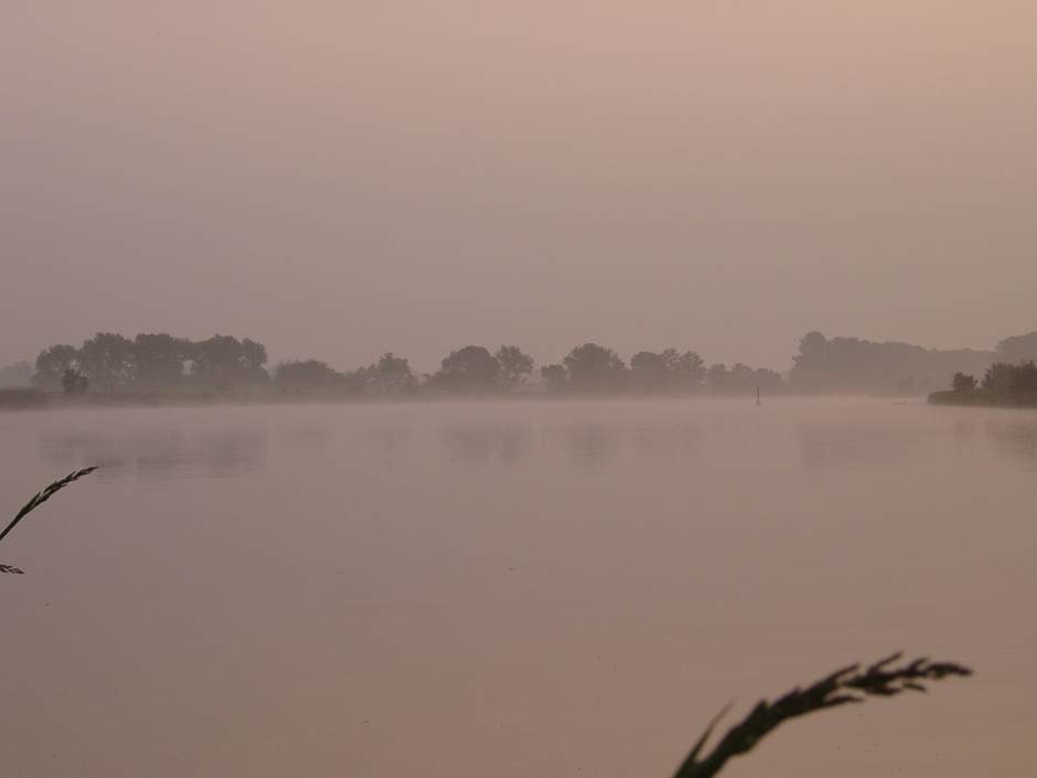  Nebel über dem See hat seinen Reiz.