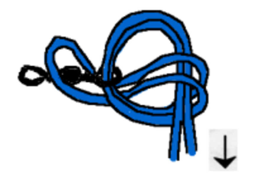  Der Palomarknoten.
