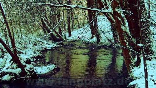 Angeltipps für den Winter