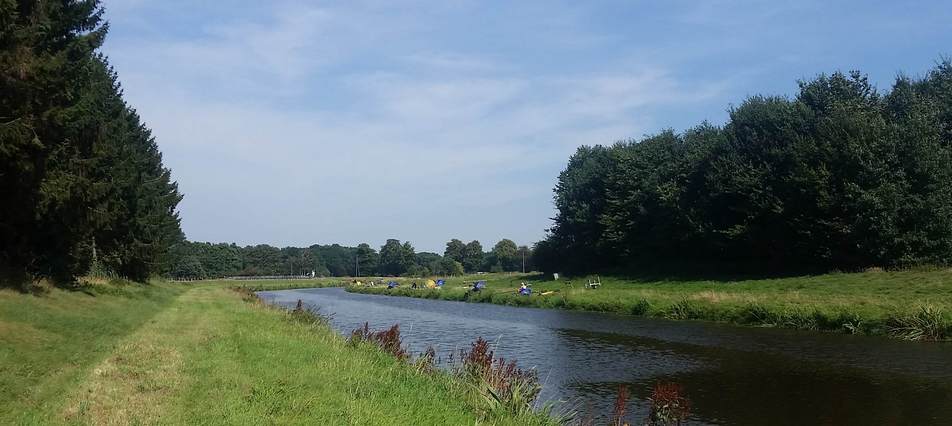  Fische im Überfluss...