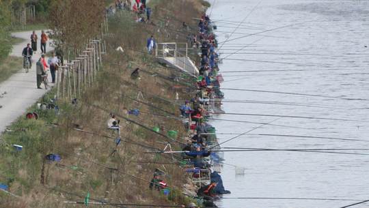 Das Angeljahr 2007 aus der fangplatz-Perspektive