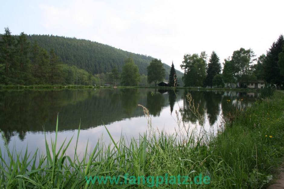  Eines der schönsten Angelanlagen in Deutschland. Der Angelpark-Wagner.