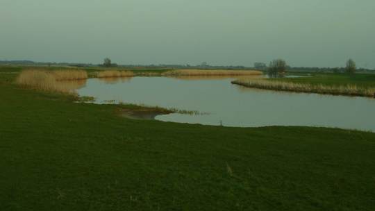 Die Treene: Angeln in Nordfriesland.