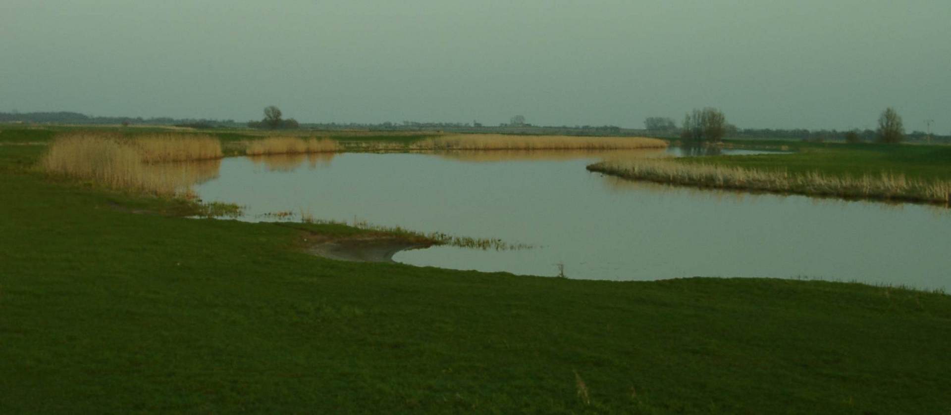  Die Treene in Nordfriesland.