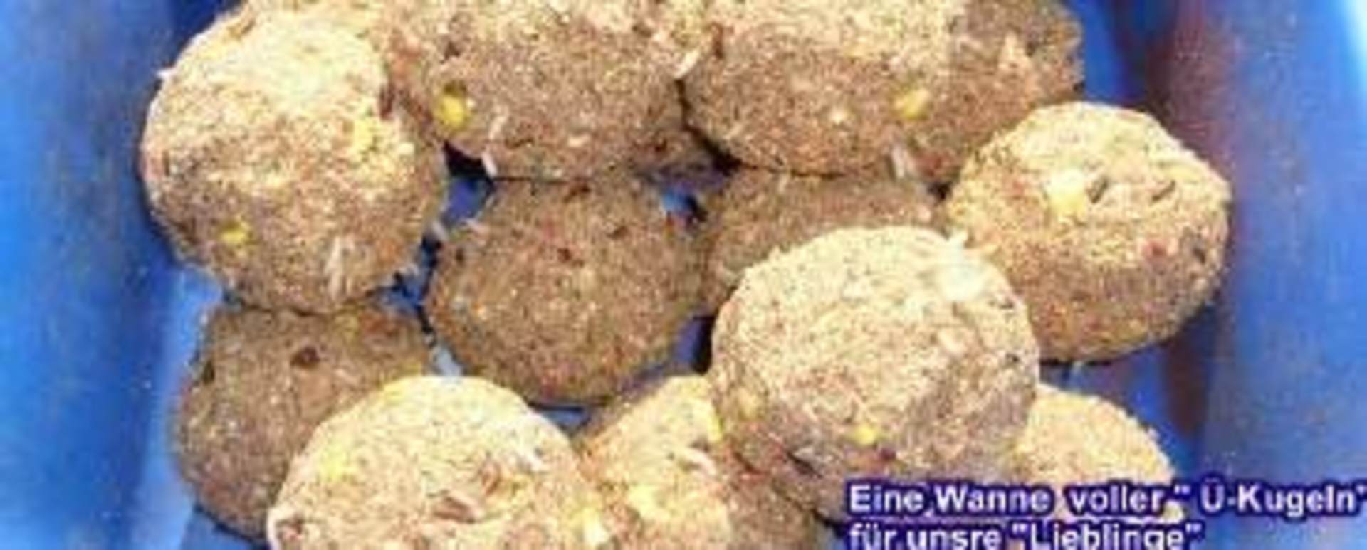  Futterballen mit FTM Fertigfutter