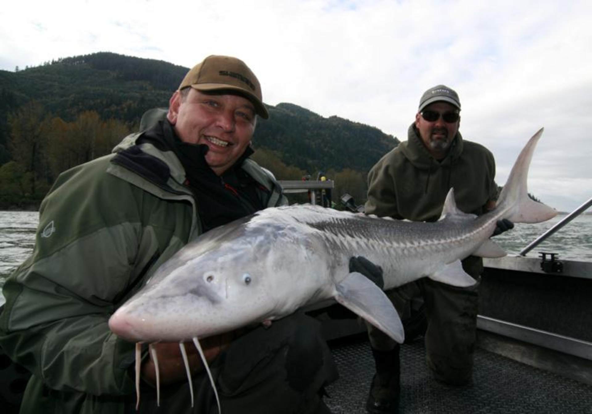 Tag 8 - Kanada: Reisetagebuch vom Stör- und Lachsangeln im Fraser River 