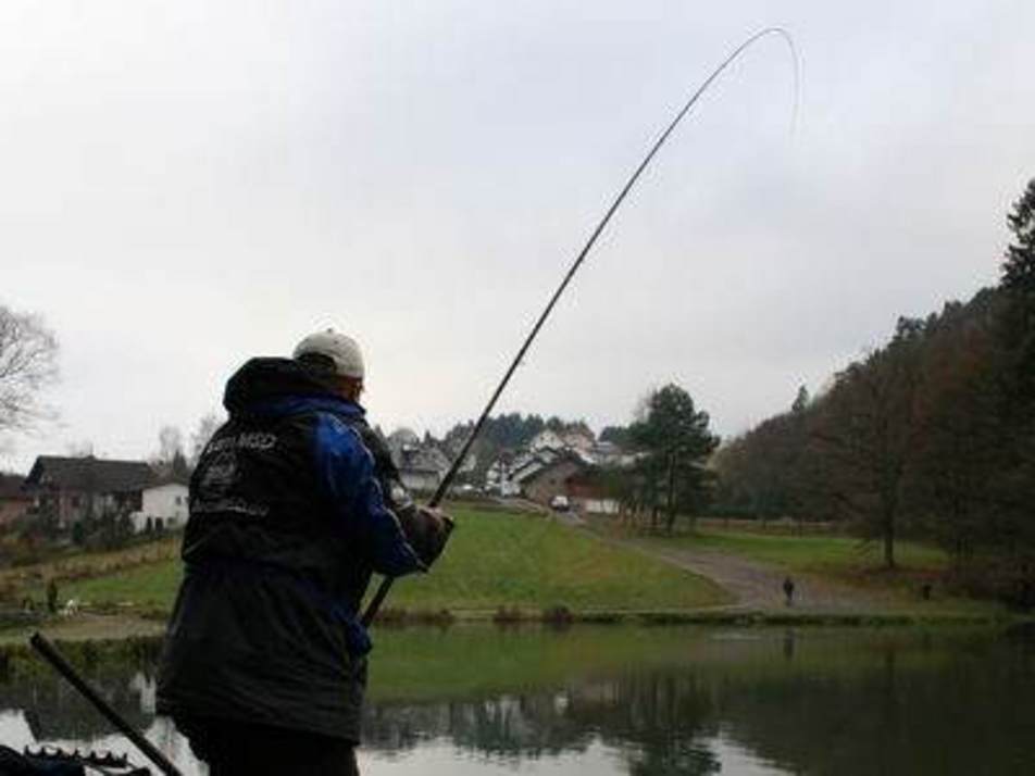  Klaus Feind drillt schon wieder einen Teich-Salmoniden.