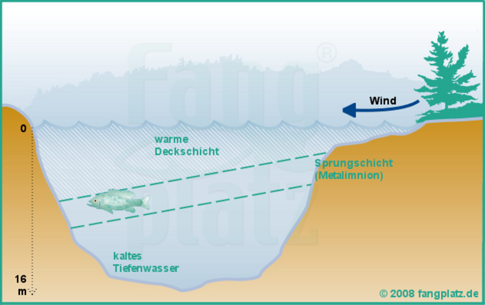  Der See im Sommer (bei Wind).