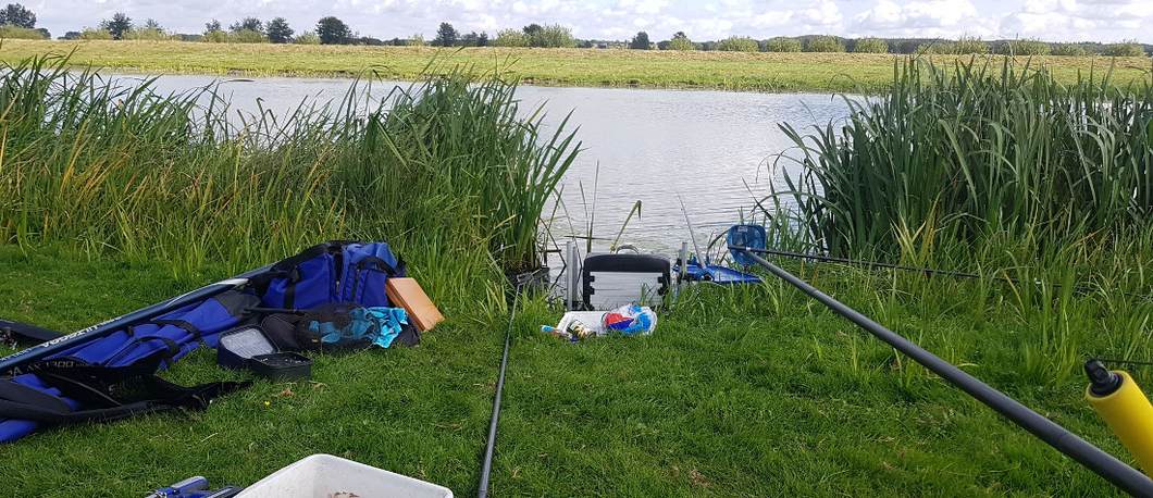 Praxis: Angeln in der Treene in Nordfriesland