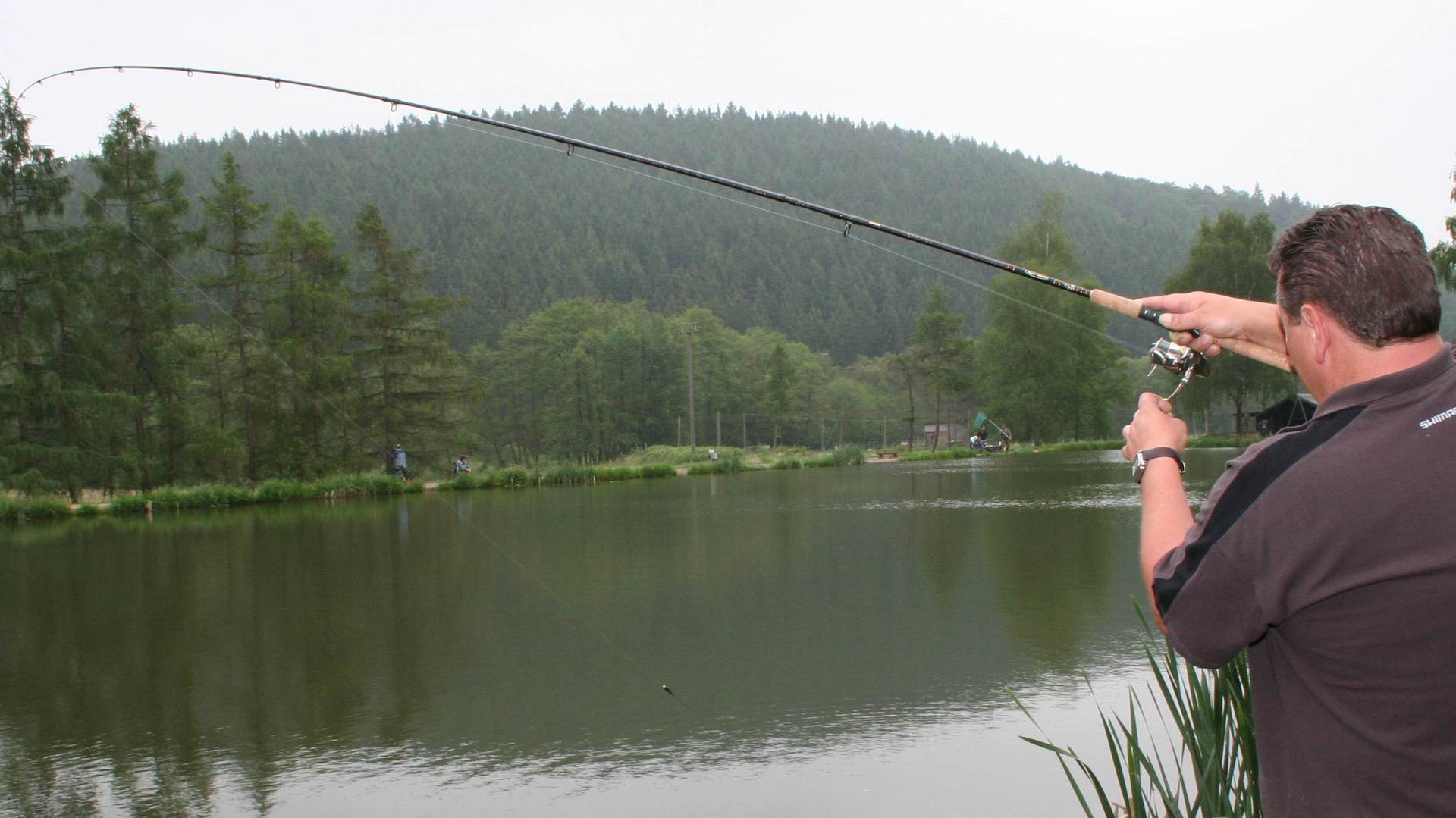  Weiher (1-3 ha) mit Mischbestand