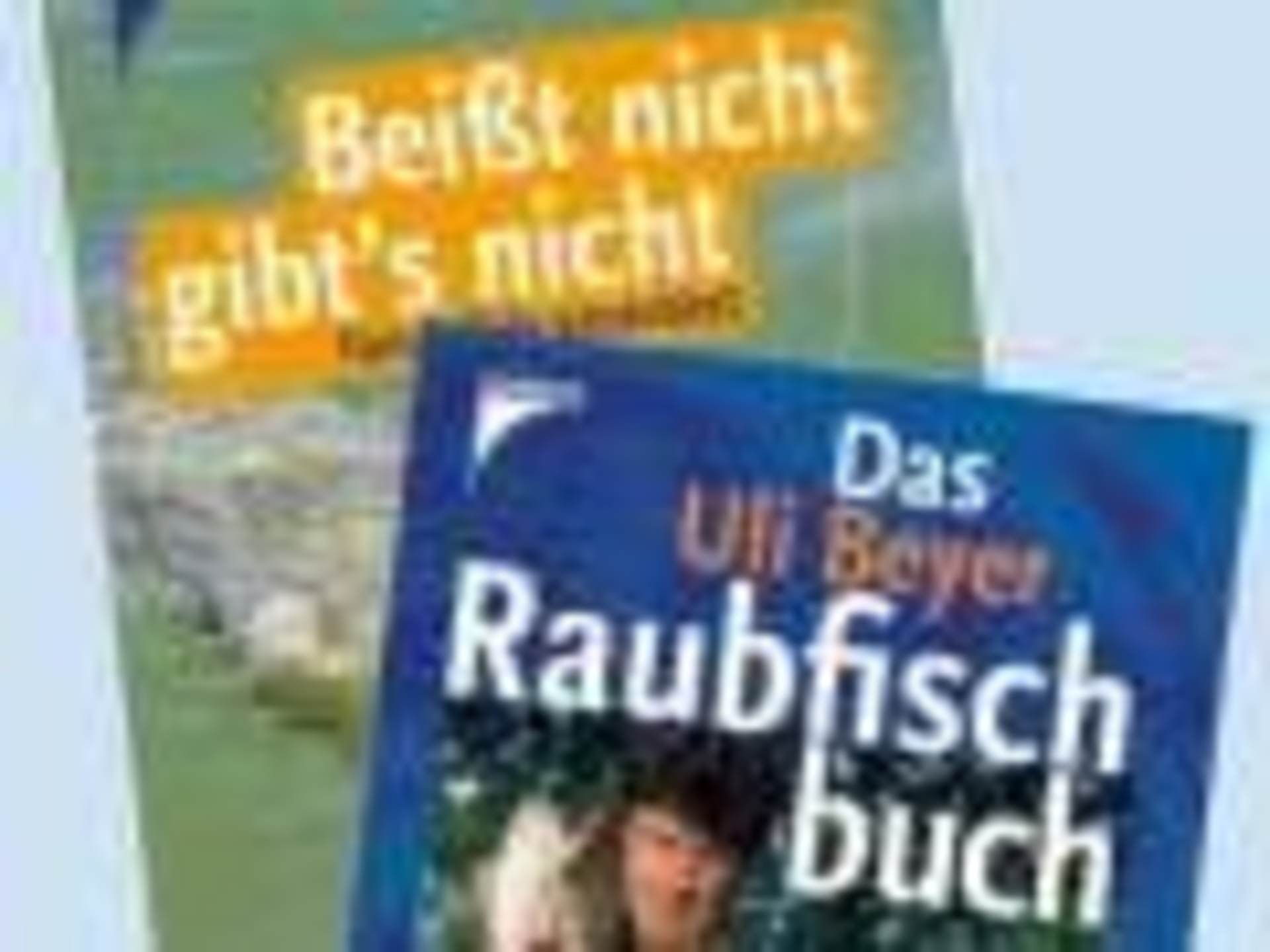 Angelbücher die einen weiterbringen 