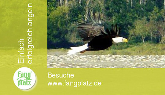 Tag 4 - Kanada: Reisetagebuch vom St&ouml;r- und Lachsangeln im Fraser River