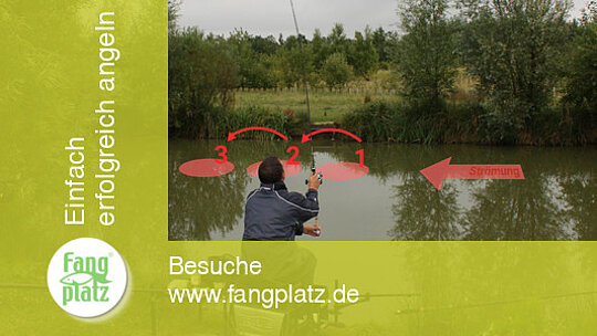 Feedern: Futterspur im Fluss