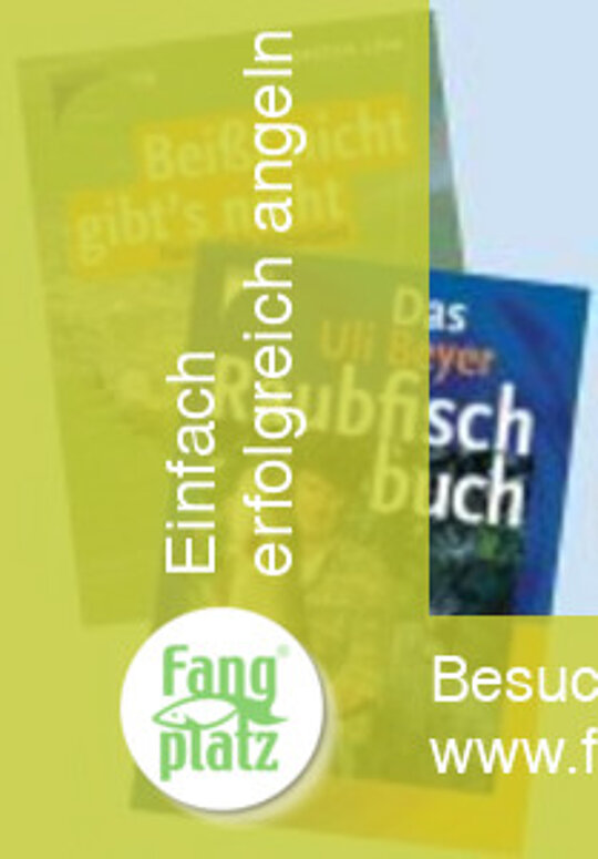 Angelb&uuml;cher die einen weiterbringen
