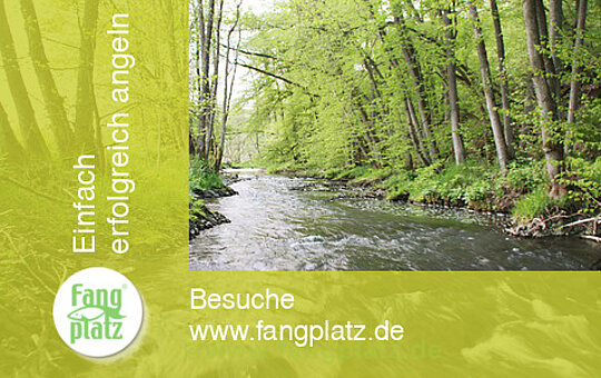 Kunstk&ouml;der: Kleine B&auml;che, gro&szlig;e Chancen! Standpl&auml;tze von Brasch, Forelle, Hecht und Co.