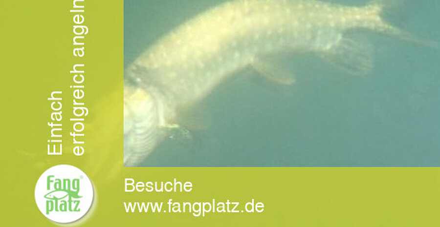 Sommerhechte: Die Beisszeiten