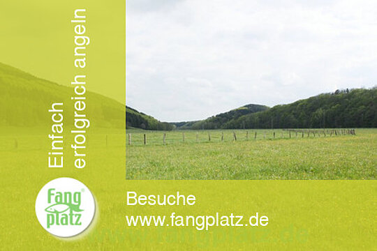 Die hessische Aar (Kellerwald)