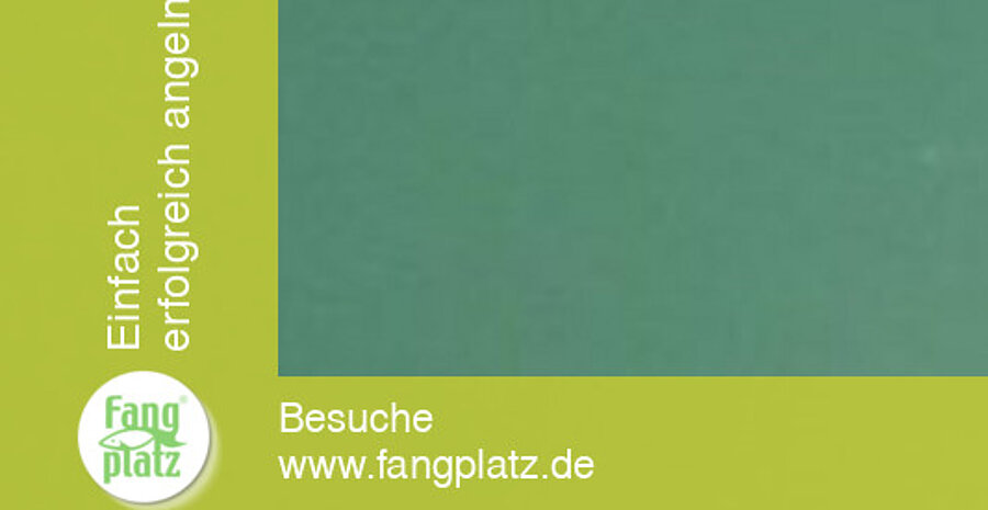 Sommerhechte: Die Beisszeiten