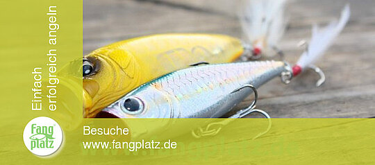 Popper richtig eingesetzt