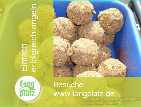 Neuheiten Tubertini/FTM