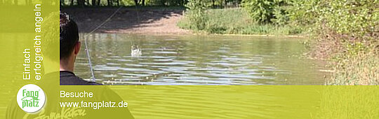 Kunstk&ouml;der, Teil 2: Erkundungstipps