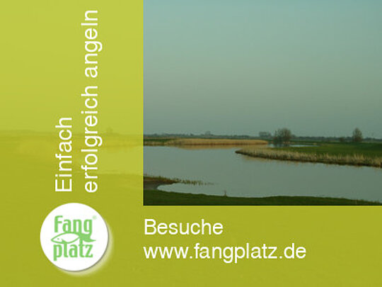 Die Treene: Angeln in Nordfriesland.