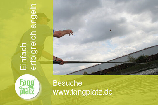 Rekordweltmeister A. Scotthorne mit der Kopfrute am Kanal (3)