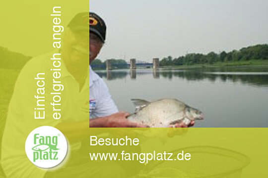 "Klug" gefeedert (2)