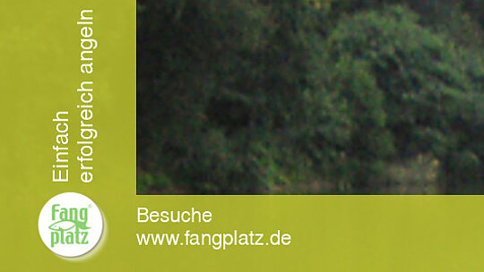 Aal-Monster mit Miniboje und Rei&szlig;leine