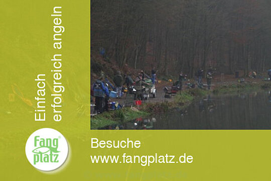 Forellen-Spa&szlig; im Westerwald mit Fishing Tackle Max, Tubertini und MSD