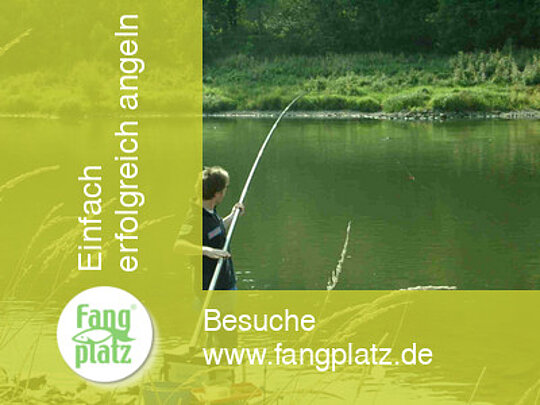 Der Barben-Tanz im Fünf-Minuten-Takt...