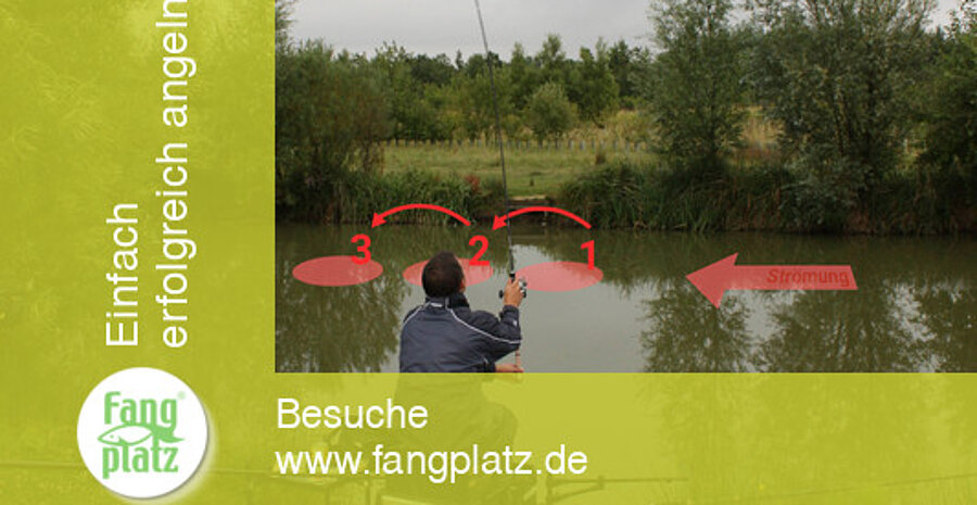 Feedern: Futterspur im Fluss