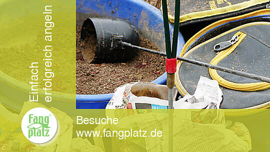 Futterstrategie in schmalen flie&szlig;enden Gew&auml;ssern