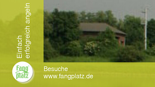 "Klug" gefeedert (1)