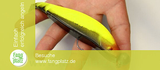 Anleitung: Gummifisch richtig aufziehen