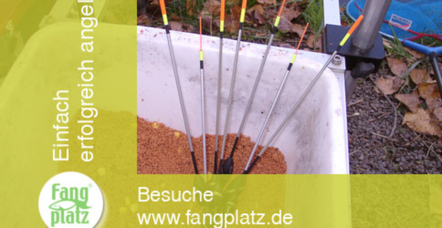 Ein super Waggler neu aufgelegt - der Zoomer