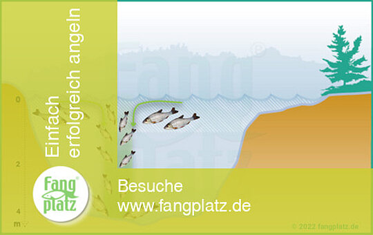 Rotaugen vertikal fangen