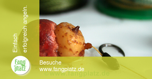 So werden Tigern&uuml;sse zum Karpfenangeln zubereitet