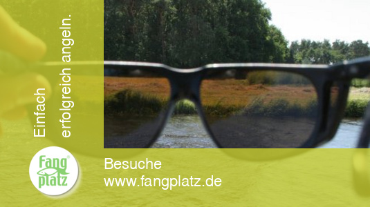 Polarisationsbrillen beim Angeln richtig eingesetzt