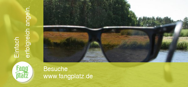 Polarisationsbrillen beim Angeln richtig eingesetzt Polarisationsbrillen beim Angeln richtig eingesetzt