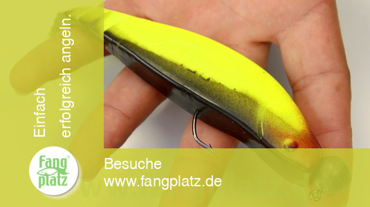 Anleitung: Gummifisch richtig aufziehen Anleitung: Gummifisch richtig aufziehen