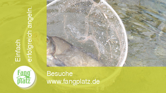 Feedern: strategisch Brassen fangen Feedern: strategisch Brassen fangen