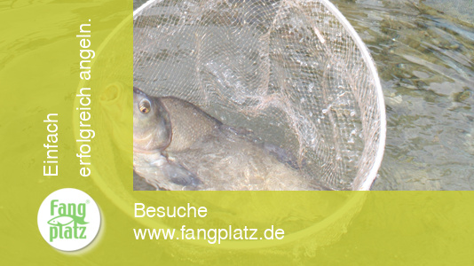 Feedern: strategisch Brassen fangen