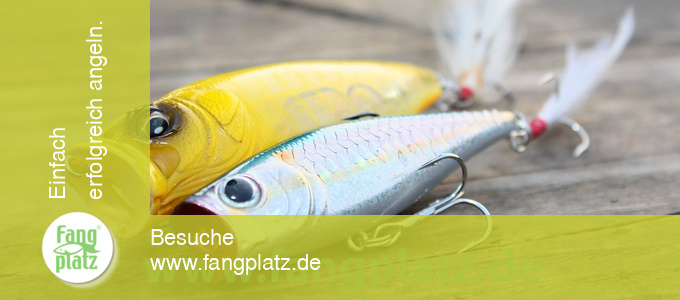 Popper richtig eingesetzt